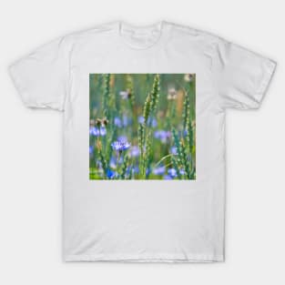 Cornflower and wheat field T-Shirt